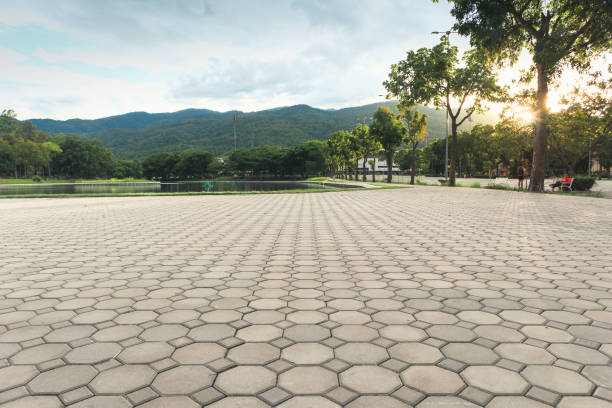 Best Custom Driveway Pavers  in Pembroke, VA